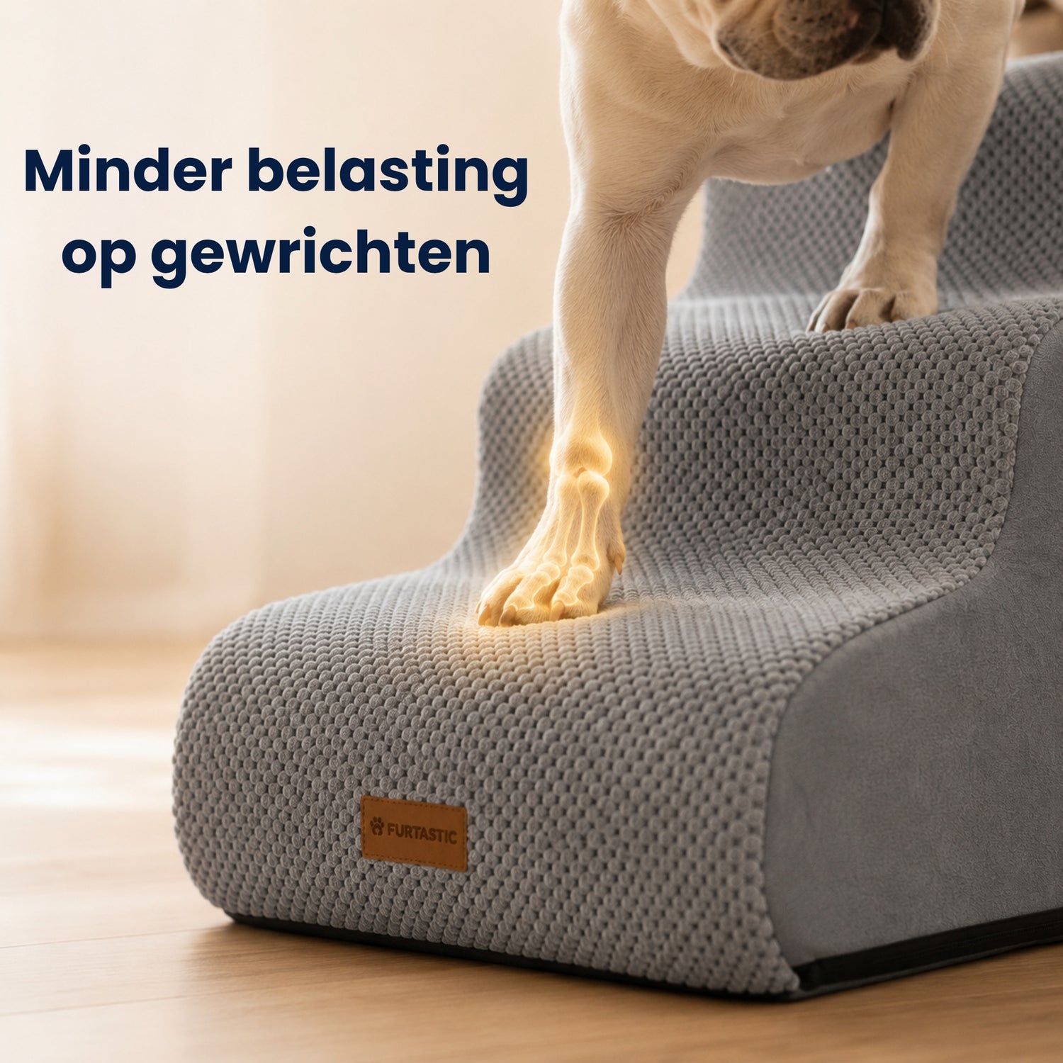 Hondentrap 2-in-1 - Hondentrap & Loopplank