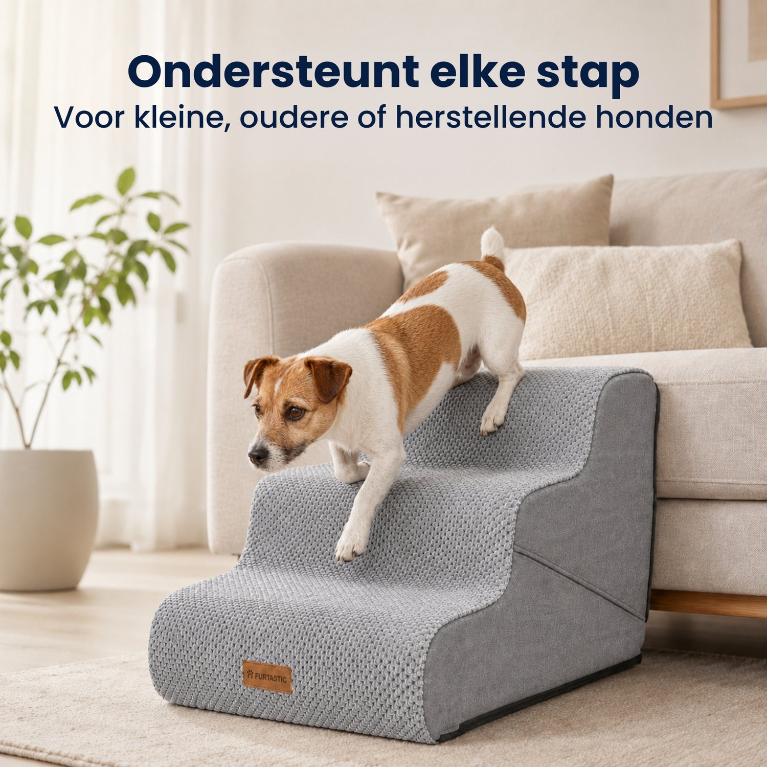 Hondentrap 2-in-1 - Hondentrap & Loopplank