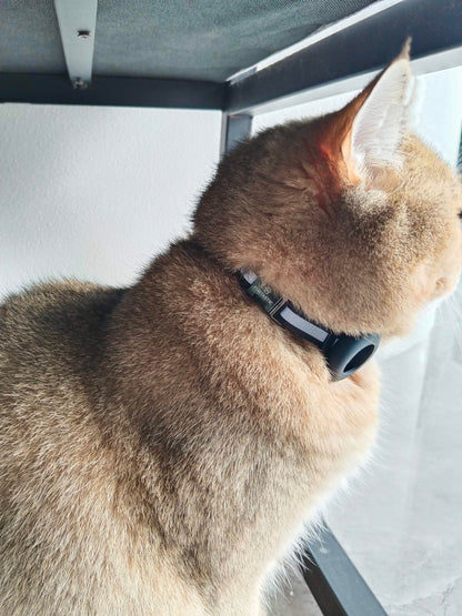 AirTag Halsband Kat