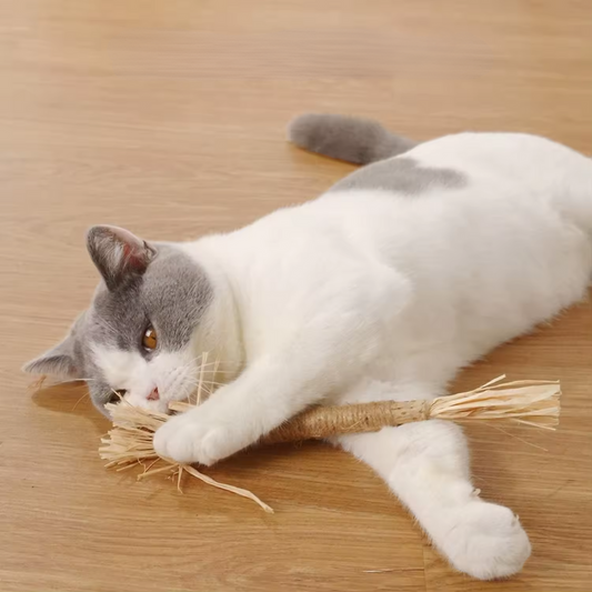 Matatabi stokjes voor katten - Sterker effect dan kattenkruid