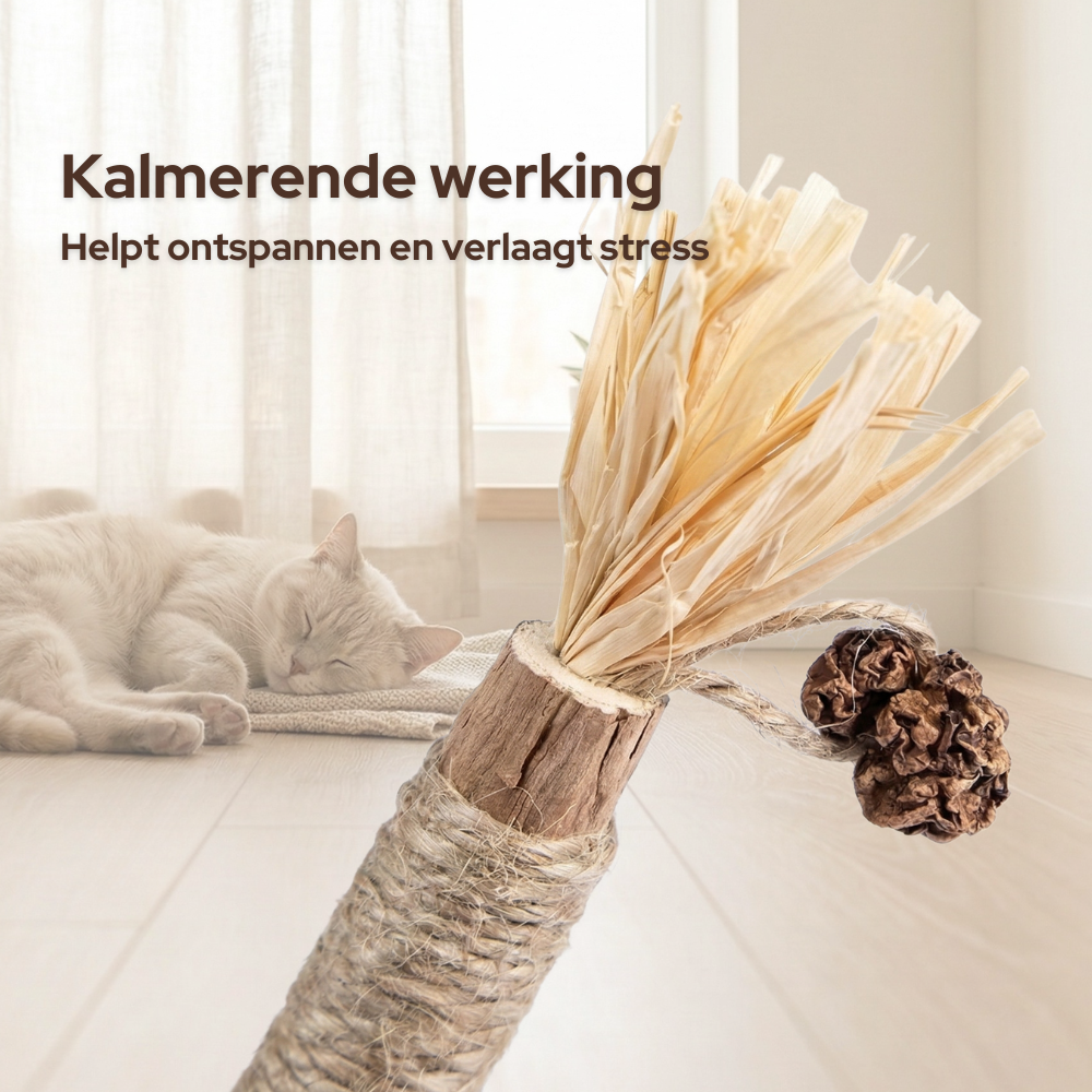 JZK 25 x Natuurlijke matatabi stick voor katten en kitten, biologisch hout kat kauwstok speelgoed, kattenkruid stokken, kattenkruid speelgoed, kat molar speelgoed schoonmaken tanden JZK 25 x Natuurlijke matatabi stick voor katten en kitten, biologisch hout kat kauwstok speelgoed, kattenkruid stokken, kattenkruid speelgoed, kat molar speelgoed schoonmaken tanden