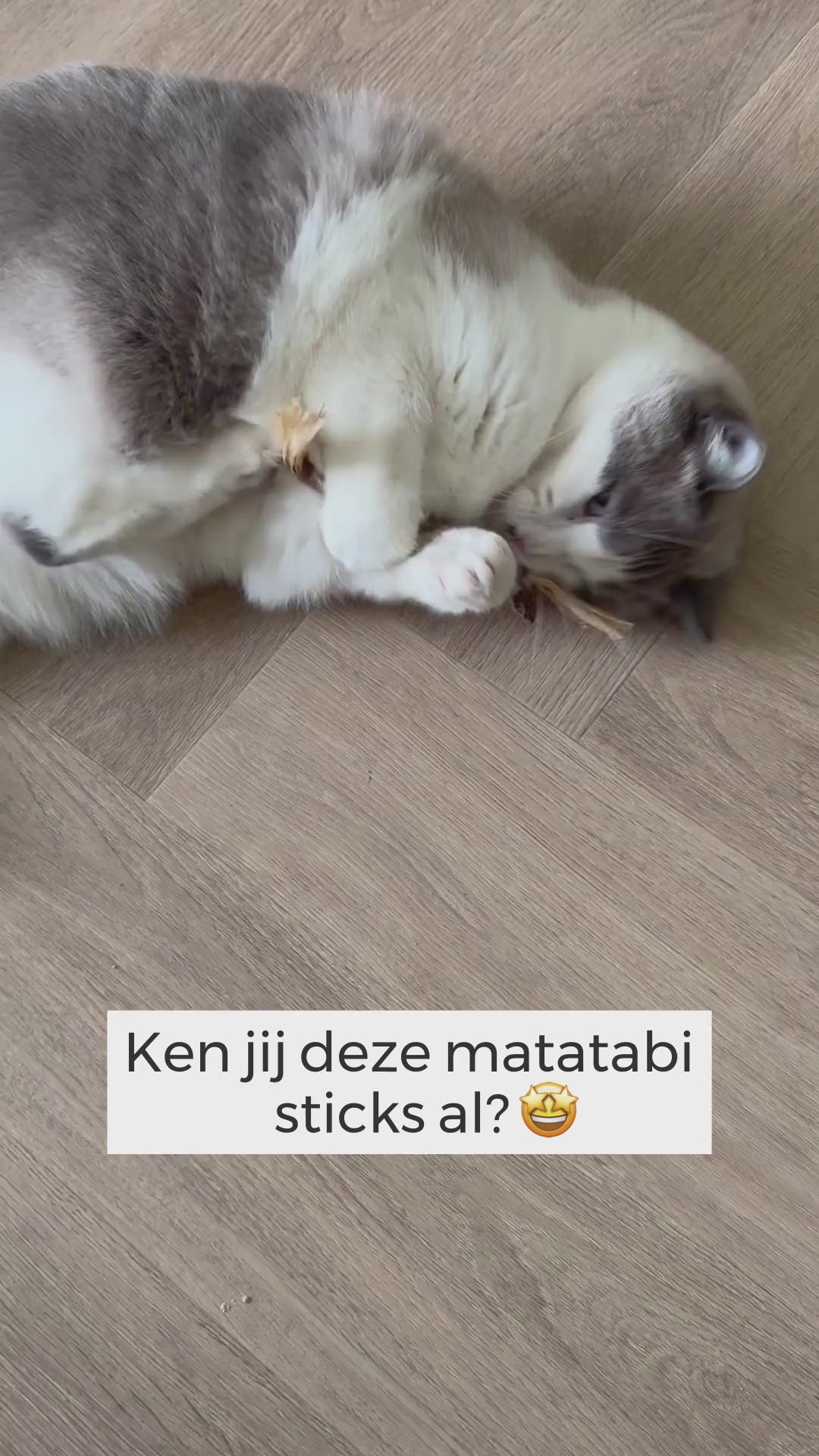 Matatabi stokjes voor katten - Sterker effect dan kattenkruid