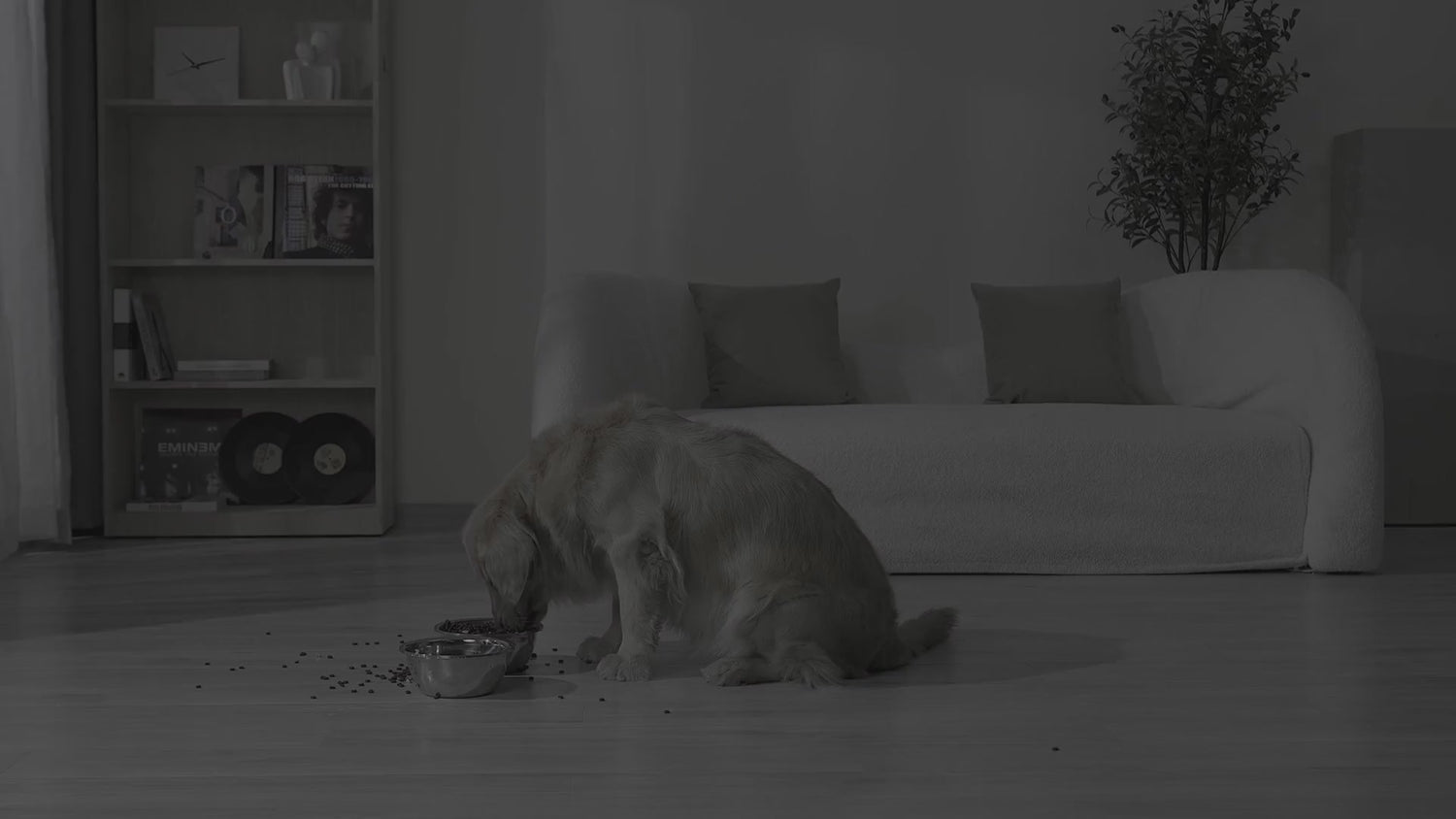 Verhoogde Voerbak en Drinkbak voor Honden - Anti-schrok en Anti-knoei functie