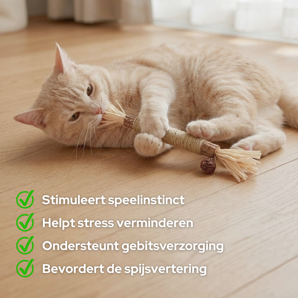 Matatabi stokjes voor katten - Sterker effect dan kattenkruid